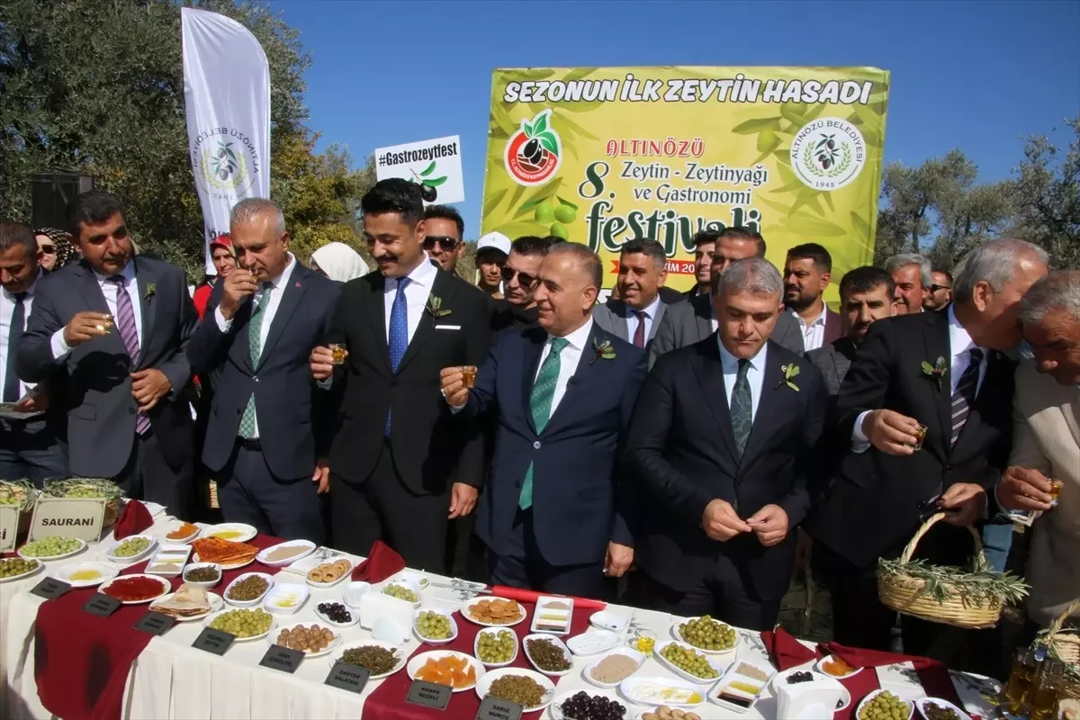 Altınözü’nde Zeytin Festivali Coşkusu