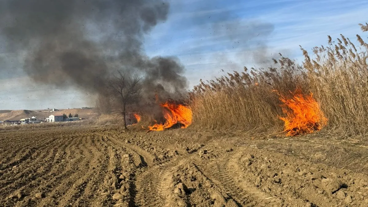 Batman’da sazlık yangını söndürüldü
