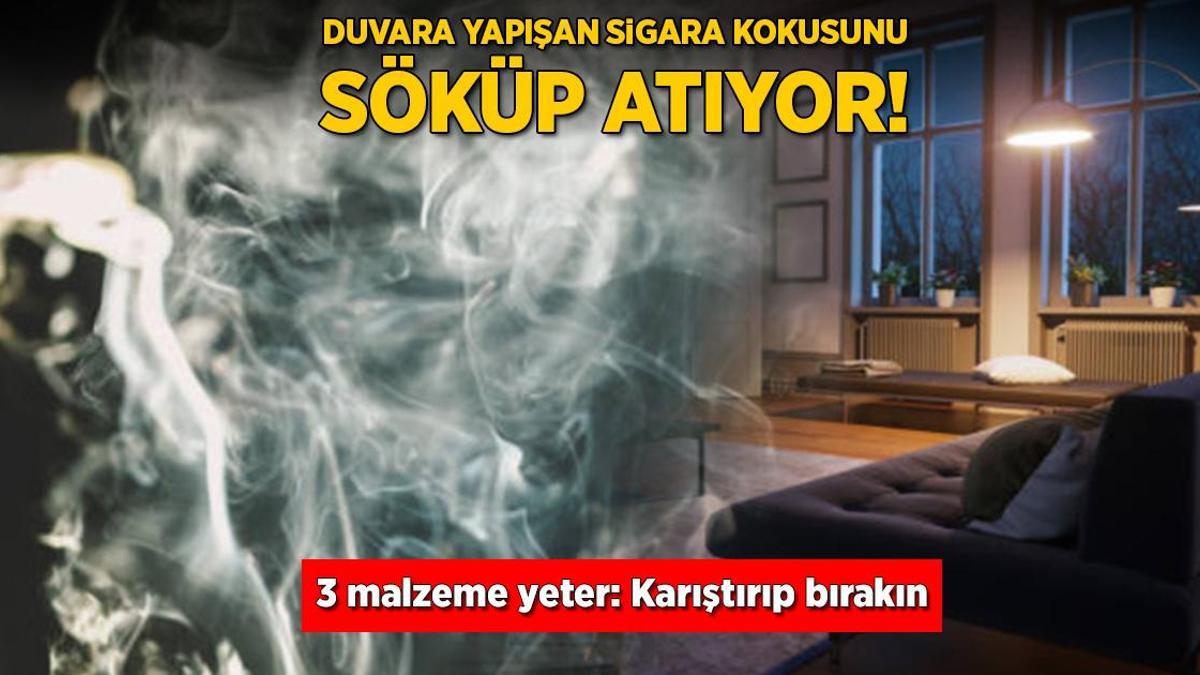 Duvara yapışan sigara kokusunu söküp atıyor! 3 malzeme yeter: Karıştırıp bırakın